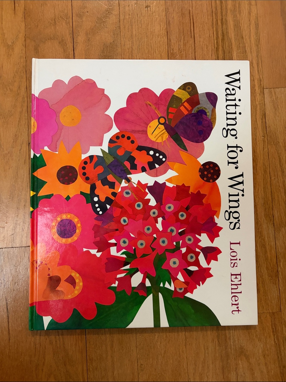 Waiting for Wings by Lois Ehlert